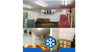 قیمت و هزینه ساخت سردخانه میوه و سبزیجات در اندازه های مختلف و سفارشی